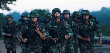 云南征兵爆料事件始末视频,真相与争议的交织